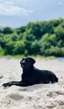 Team Resteverwertung